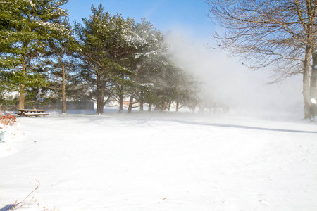 Gusts of Snow after snow storm  One の写真素材