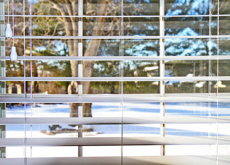 View through blinds of snow