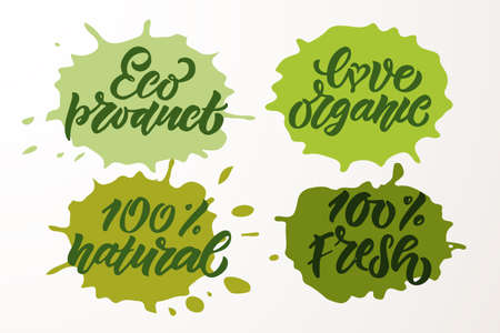 Hand sketched badges and labels with vegetarian, vegan, raw, eco, bio, natural, fresh, gluten and GMO free food diet design. Organic food elements set for product, cafe, restaurant and organic product packaging. Vector illustration.のイラスト素材
