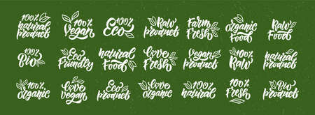 Hand sketched badges and labels with vegetarian, vegan, raw, eco, bio, natural, fresh, gluten and GMO free food diet design. Organic food elements set for product, cafe, restaurant and organic product packaging. Vector illustration.のイラスト素材
