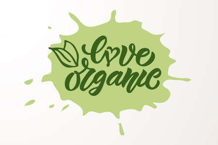 Hand sketched badges and labels with vegetarian, vegan, raw, eco, bio, natural, fresh, gluten and GMO free food diet design. Organic food elements set for product, cafe, restaurant and organic product packaging. Vector illustration.のイラスト素材
