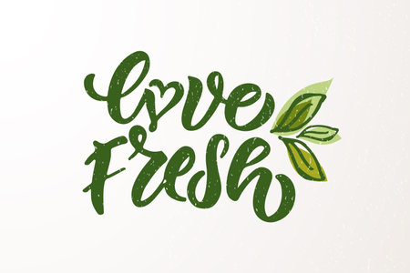 Hand sketched badges and labels with vegetarian, vegan, raw, eco, bio, natural, fresh, gluten and GMO free food diet design. Organic food elements set for product, cafe, restaurant and organic product packaging. Vector illustration.のイラスト素材