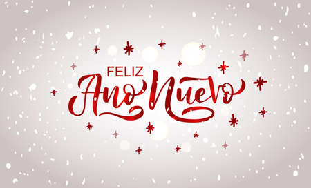 Hand sketched Happy New Year in Spanish card, badge, icon typography. Lettering Feliz Ano Nuevo for Christmas, New Year greeting card, invitation template, banner, poster. Vector EPS10のイラスト素材