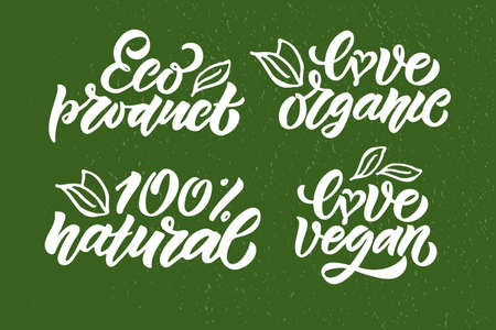 Hand sketched badges and labels with vegetarian, vegan, raw, eco, bio, natural, fresh, gluten and GMO free food diet design. Organic food elements set for product, cafe, restaurant and organic product packaging. Vector illustration.のイラスト素材