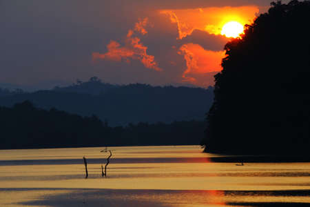 Sunsetの写真素材