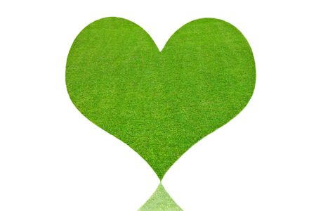 isolate fresh hearth green grass texture and backgroundの写真素材