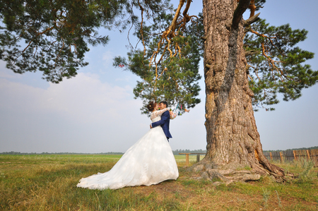 Wedding photo shooting. Groom and bride embracing under pine tree.の写真素材