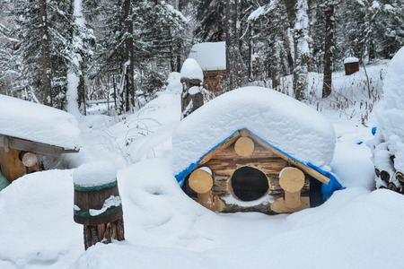 Dog house in the winter with snow on roofの写真素材