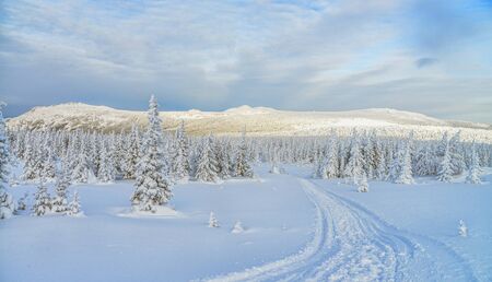 Mountain landscape with road leading to the peak in frosty winter day, Russia, Ural.の写真素材