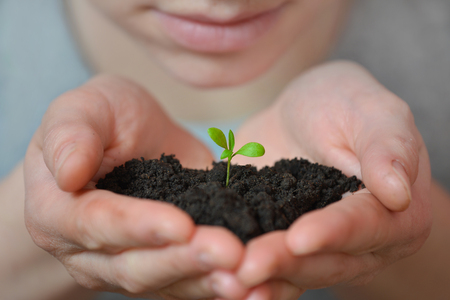 Woman hands holding young plant. Ecology concepの写真素材