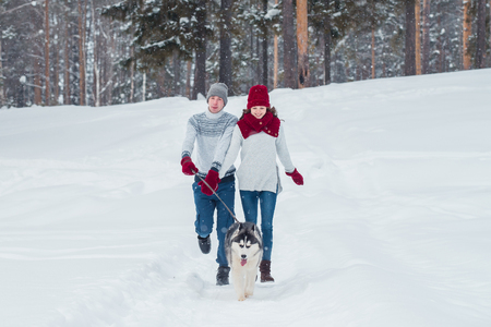 Young couple with a Husky dog walking in winter park, man and woman playing and having fun with dog.の写真素材