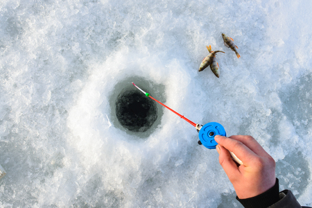 Winter fishing. Fisherman hand holding rod lowered into ice hole. Small fish lying near.の写真素材