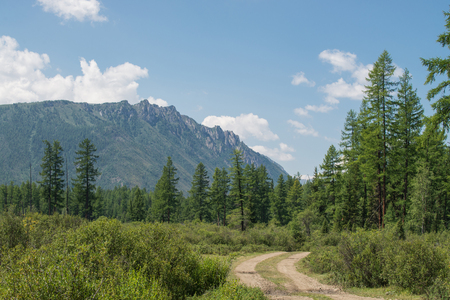 Forest rural road leading to the mountains summer landscape.の写真素材