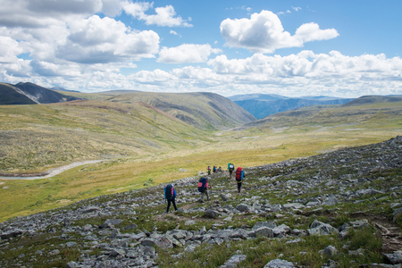 Hikers in the mountains, team of tourists with backpacks going om mountain trail, summer leisure and sports activities.の写真素材