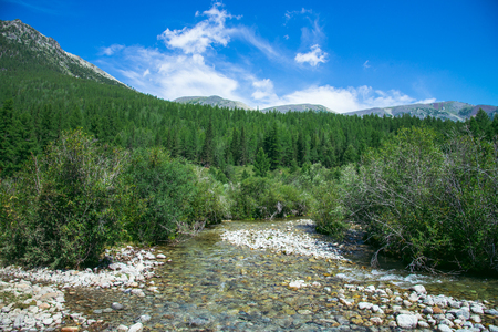 Beautiful summer landscape with mountains, forest and a river in front.の写真素材
