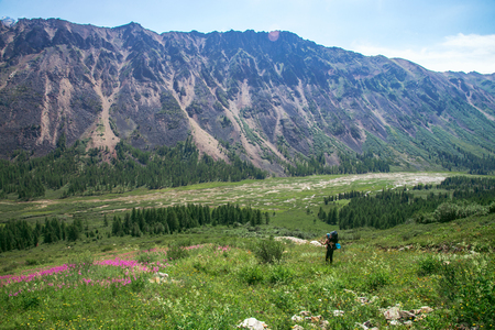 Woman Hiker trekking in mountains with child in backpack . Mother with baby boy travelling in summer sunny day.の写真素材