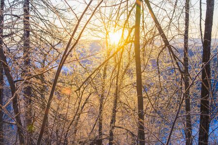 Majestic sunrise in winter mountains landscape. Sun highlights tree branches covered with ice and snow.の写真素材