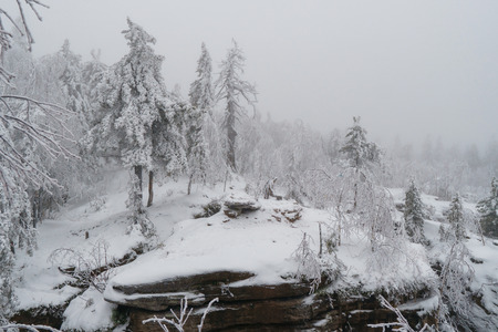Winter forest in mountains. Famous national park Stone Town with beautiful rocks, Russia, Perm region.の写真素材