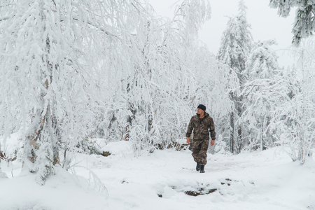 Man hiker walking in beautiful winter forestの写真素材