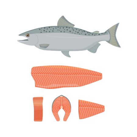 Salmon fish vector illustration. Raw fish, slice, steak, fillet. Flat style.のイラスト素材
