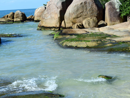 a set of rock with green musg togetherの写真素材