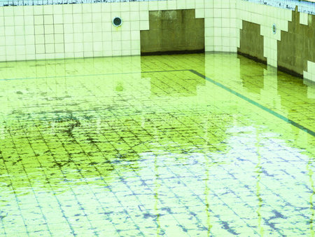A empty pool in a club, where there's a good restaurant and the abandoned pool.