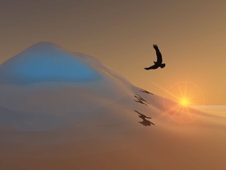Eagle over Ice Hill