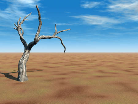 Tree on Desertの写真素材
