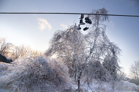 After an ice storm, trees and shoes on a line are covered in ice which shows a sunlit glow. The shoes and boots have icicles formed.の写真素材