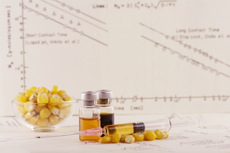 genetic modification with sweet cornの写真素材