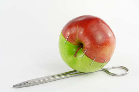 Two halves of an appleの写真素材