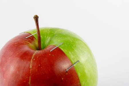 Two halves of an appleの写真素材