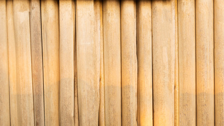 Bamboo texture and backgroundの写真素材