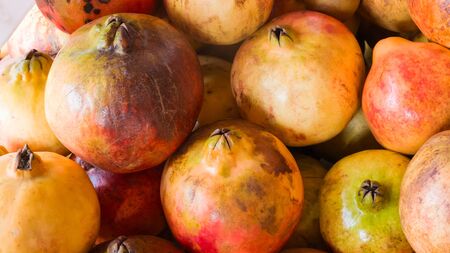 pomegranate,  Punica granatum, Pomegranate fruit, no insecticide, no pesticideの写真素材