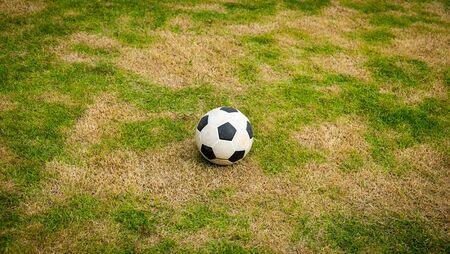 Ball on lawn, Ball at middle fieldの写真素材