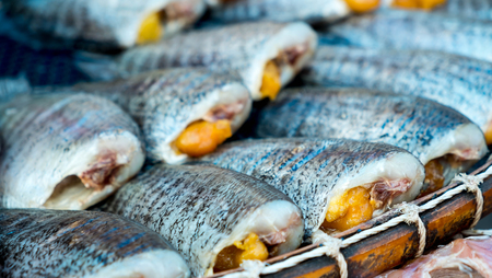 Trichogaster pectoralis, Salted fish place on the basket, food preservation with saltの写真素材