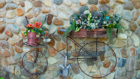 The old  bicycle on stone wall, flowers basket on the bicycleの写真素材