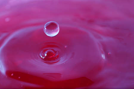 Photos of water drops, splashesの写真素材