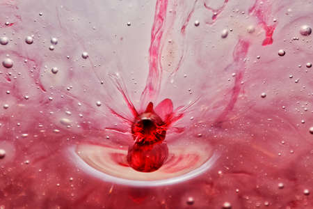 Water dropsの写真素材