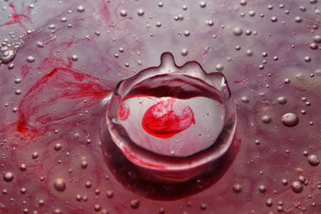 Water dropsの写真素材