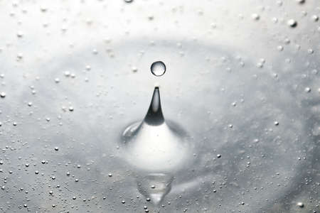 Water dropsの写真素材