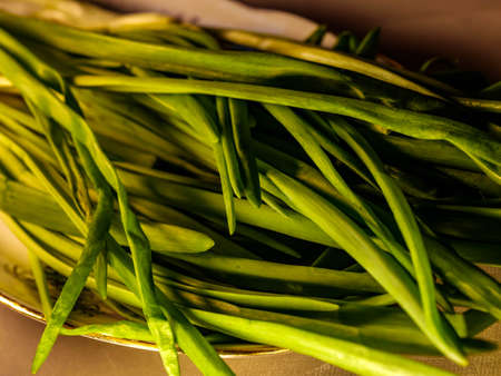 beautiful green onion chives closeupの写真素材