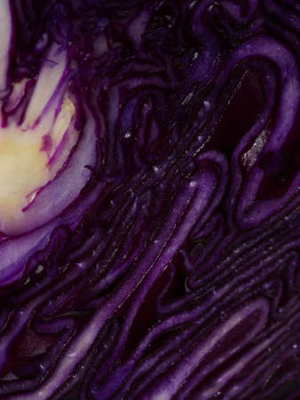 Red cabbage close-up. The texture of the cut cabbage.