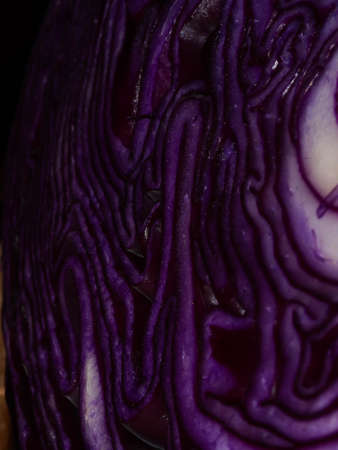 Red cabbage close-up. The texture of the cut cabbage.