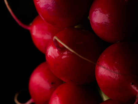 Red radishes, fresh pink radishes in the basket, fresh spring vegetables, vegetables on the table