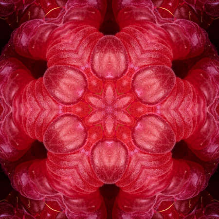 Abstract Computer generated Fractal design. A fractal is a never-ending pattern. Fractals are...