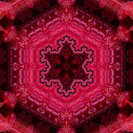 Abstract Computer generated Fractal design. A fractal is a never-ending pattern. Fractals are...