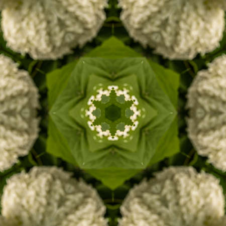 Abstract Computer generated Fractal design. A fractal is a never-ending pattern. Fractals are...