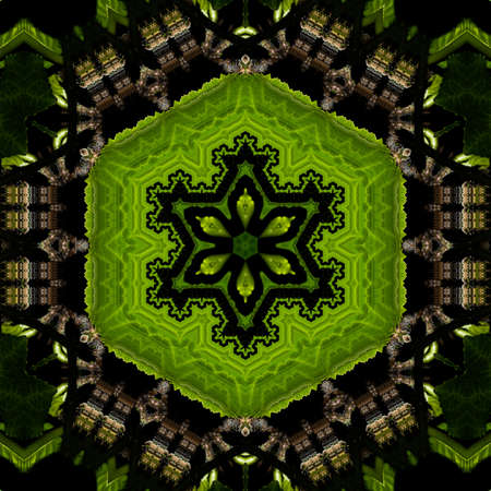 Abstract Computer generated Fractal design. A fractal is a never-ending pattern. Fractals are...