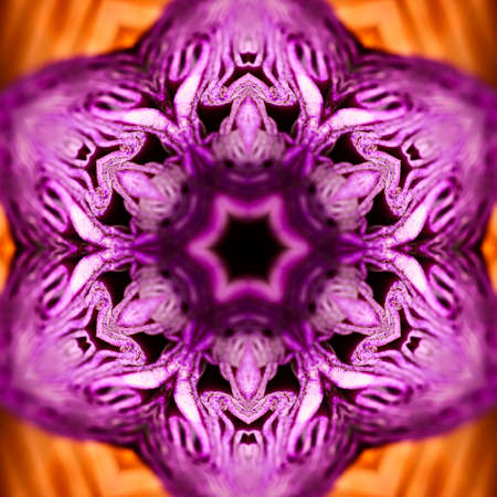 Abstract Computer generated Fractal design. A fractal is a never-ending pattern. Fractals are...